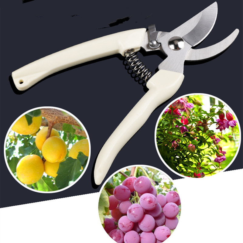 Gardening Tools Hand - Pruner Orchard and The Garden Hand