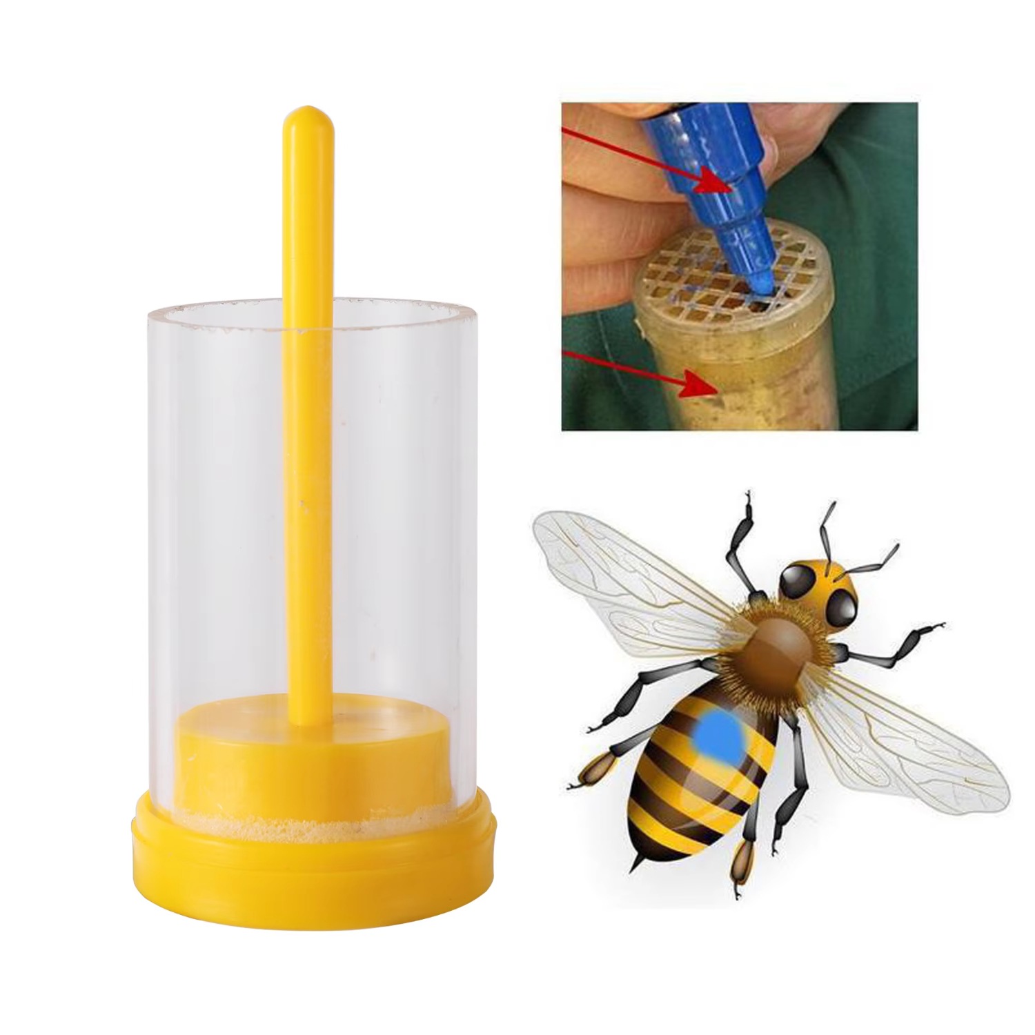 Beekeeper Bee Queen Marker Bot - مراجعة Gardening Tools Yellow وسعره