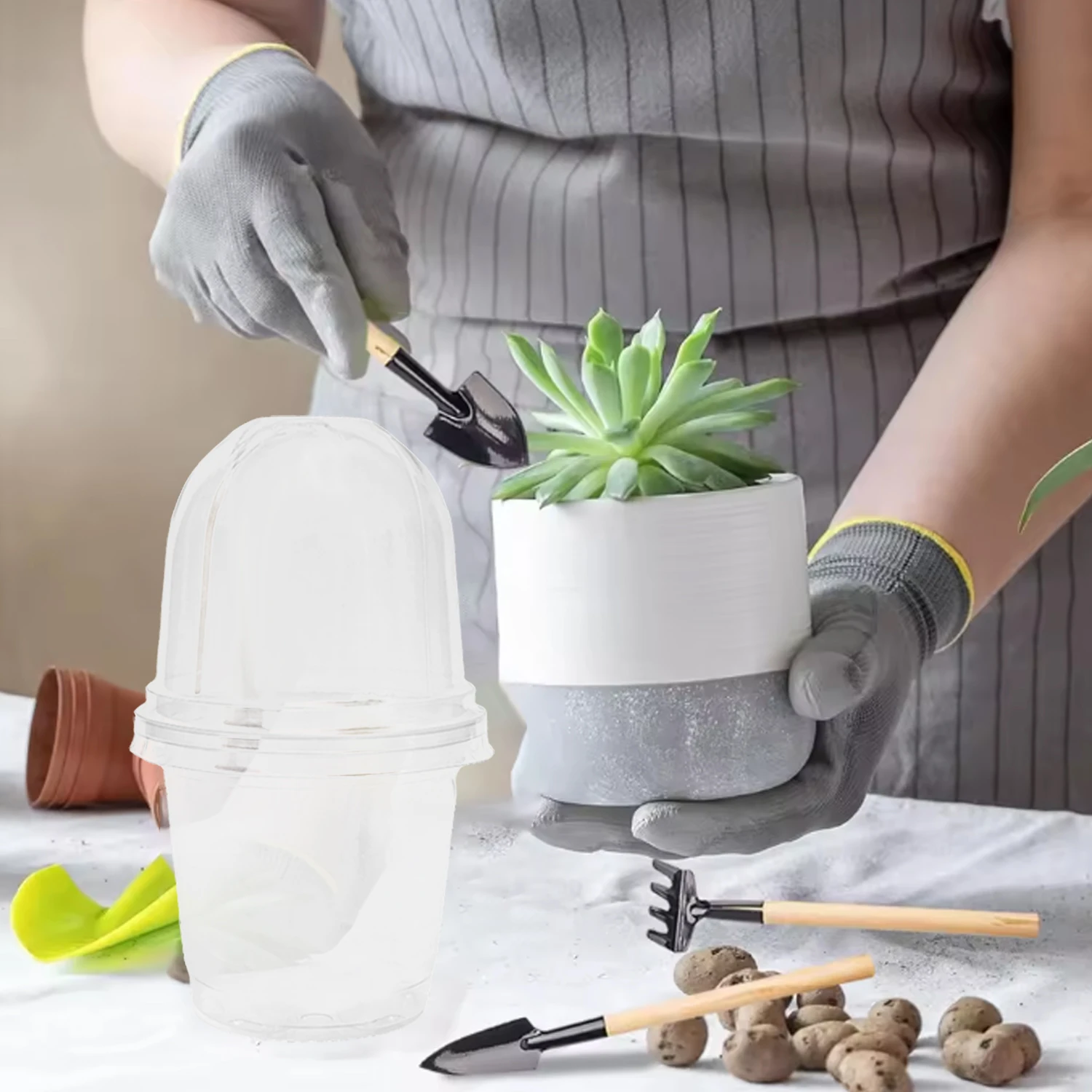 Pastic Seed Stater Cup with Co - مراجعة Propagation Tray Dome وسعره
