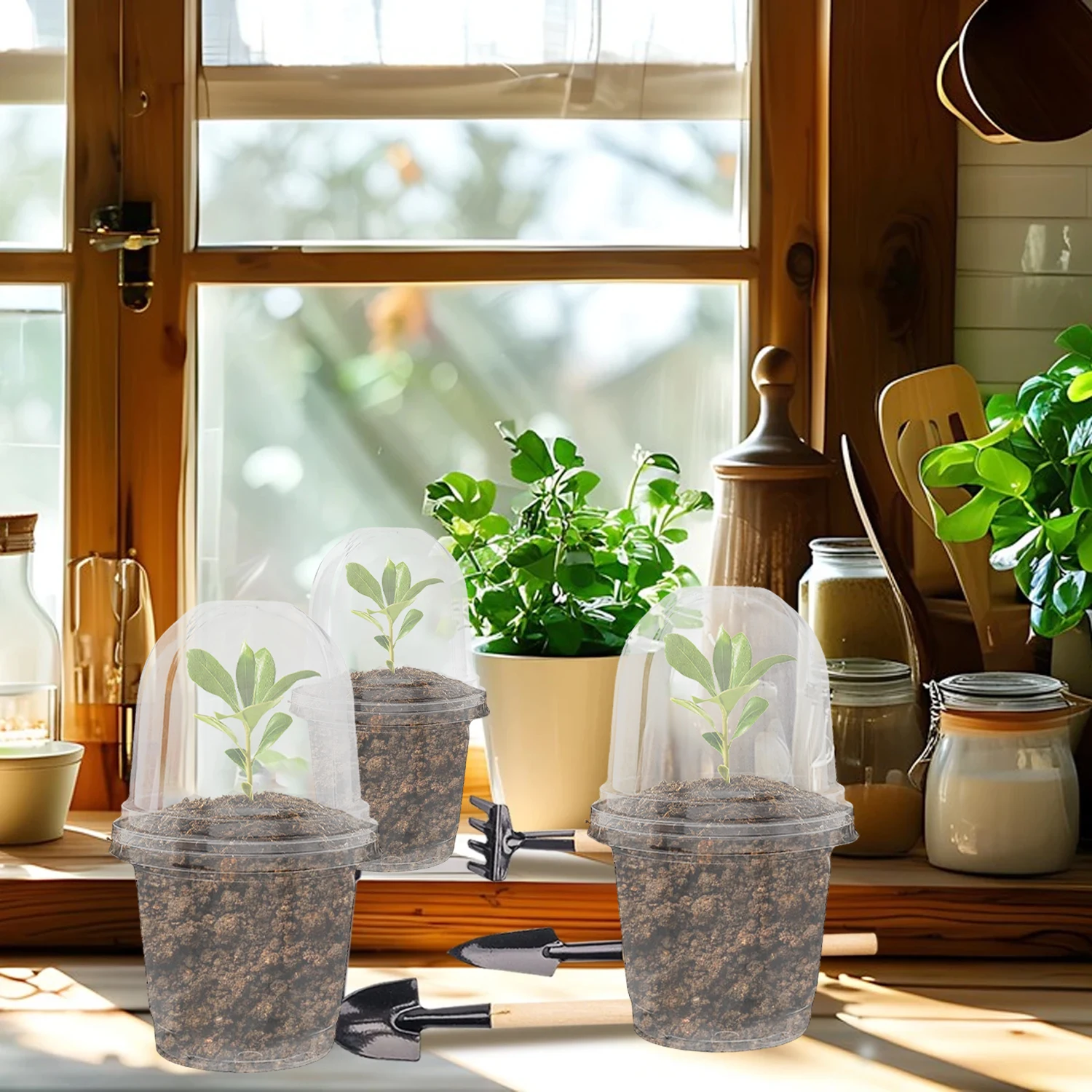 Pastic Seed Stater Cup with Co - مراجعة Propagation Tray Dome وسعره