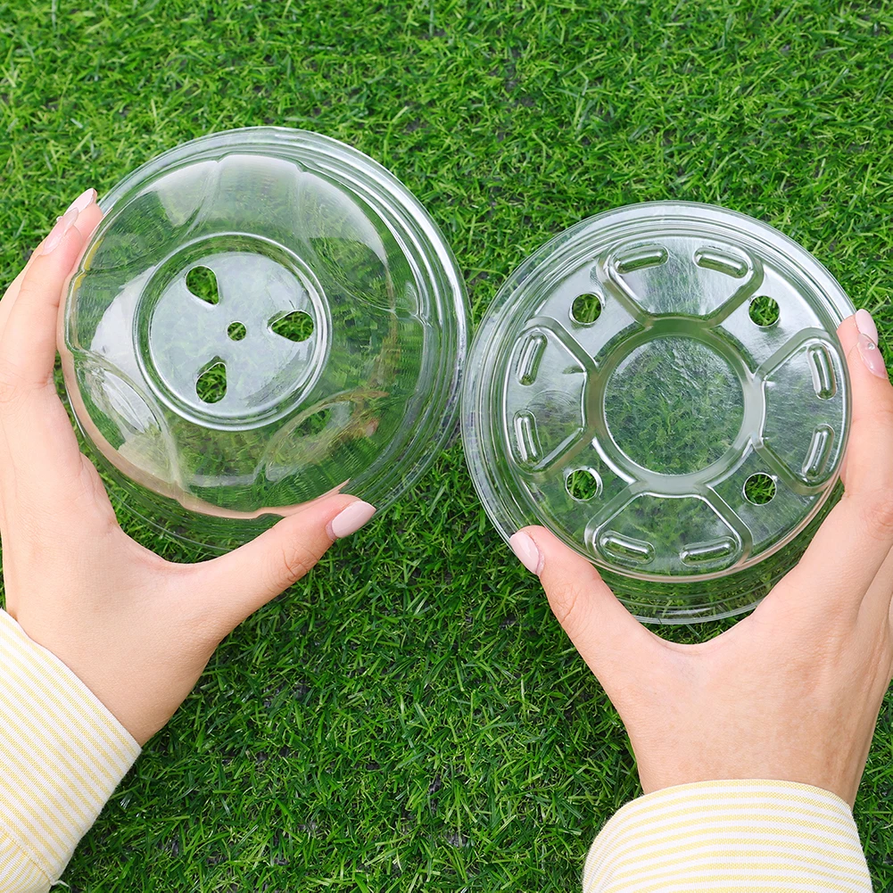 Pastic Seed Stater Cup with Co - مراجعة Propagation Tray Dome وسعره