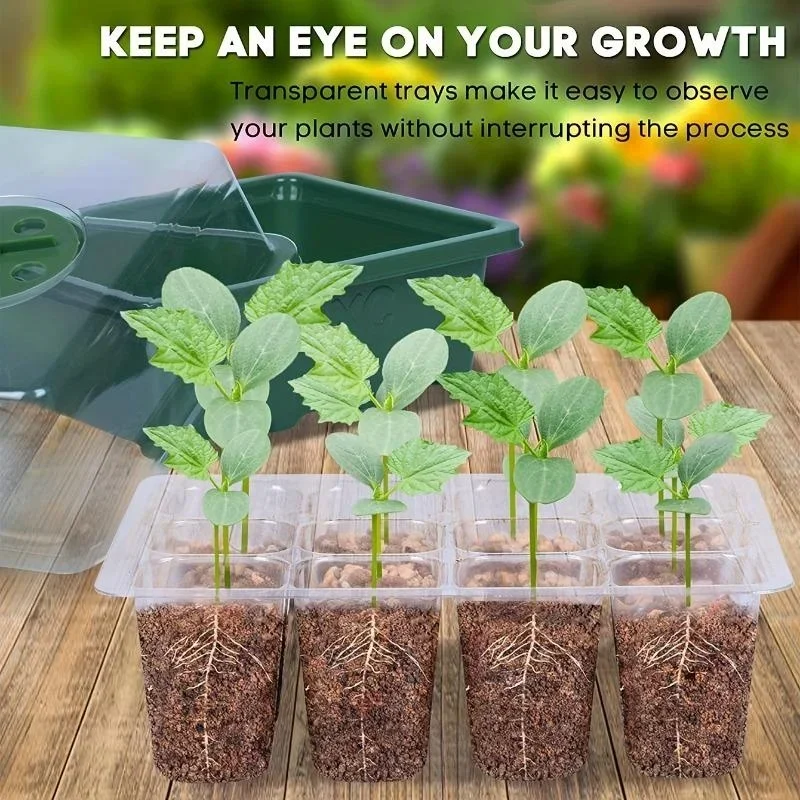 12Grids Seedling Trays Seed St - مراجعة Propagation Tray Dome وسعره