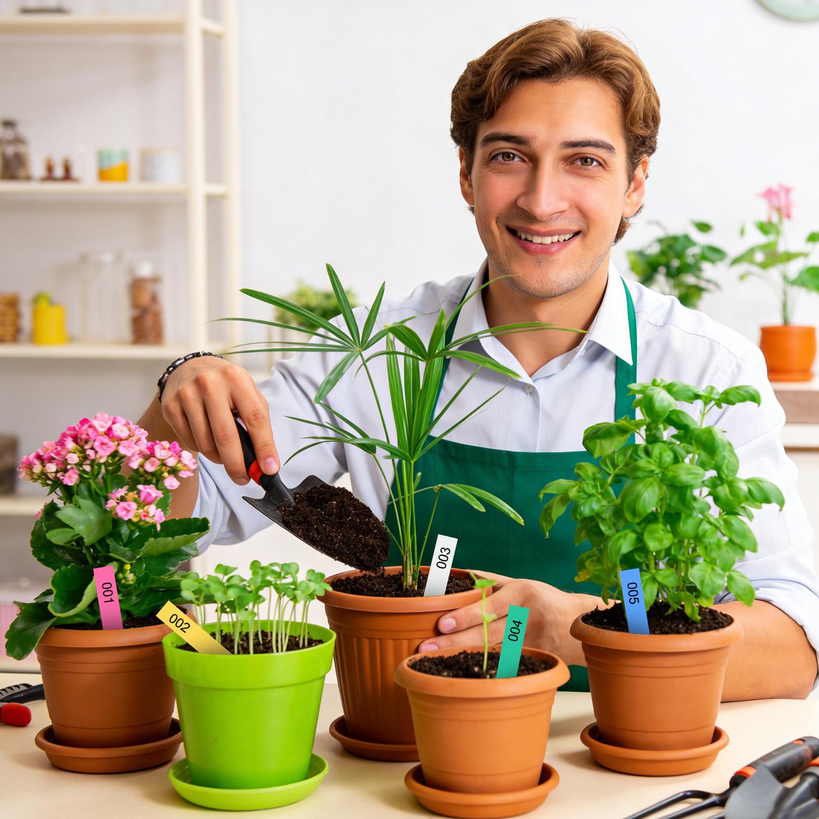 500Pcs Plant Labels Garden Sig - مراجعة Garden Label Marker وسعره