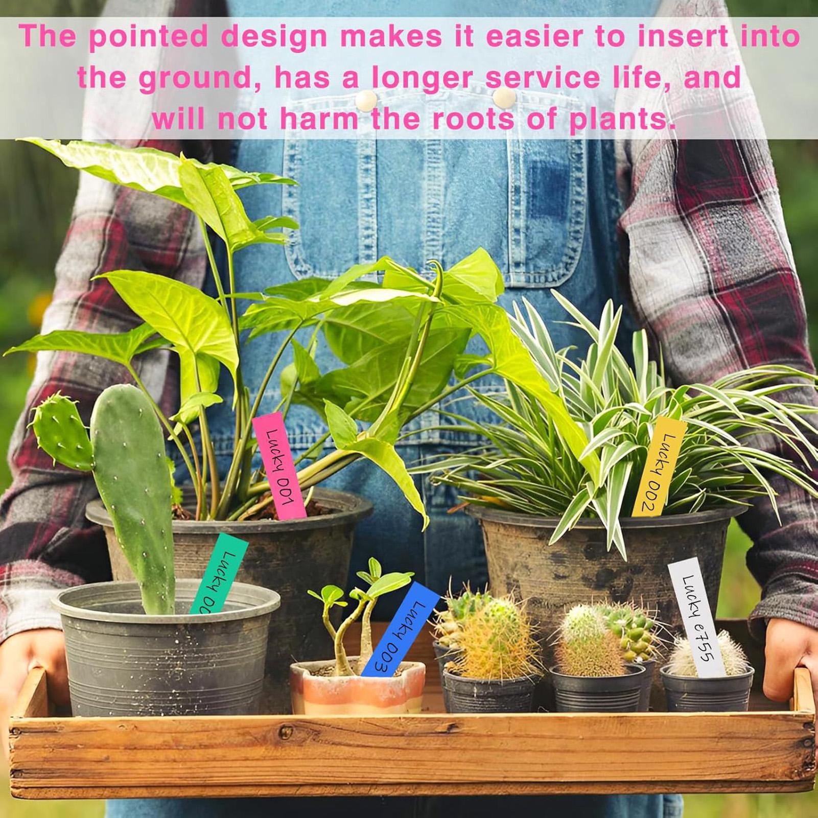 500Pcs Plant Labels Garden Sig - مراجعة Garden Label Marker وسعره