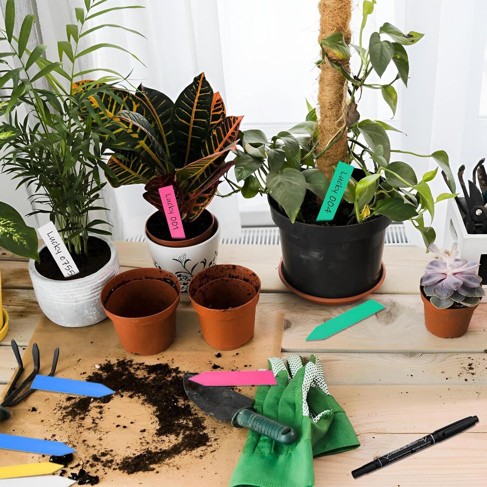 500Pcs Plant Labels Garden Sig - مراجعة Garden Label Marker وسعره