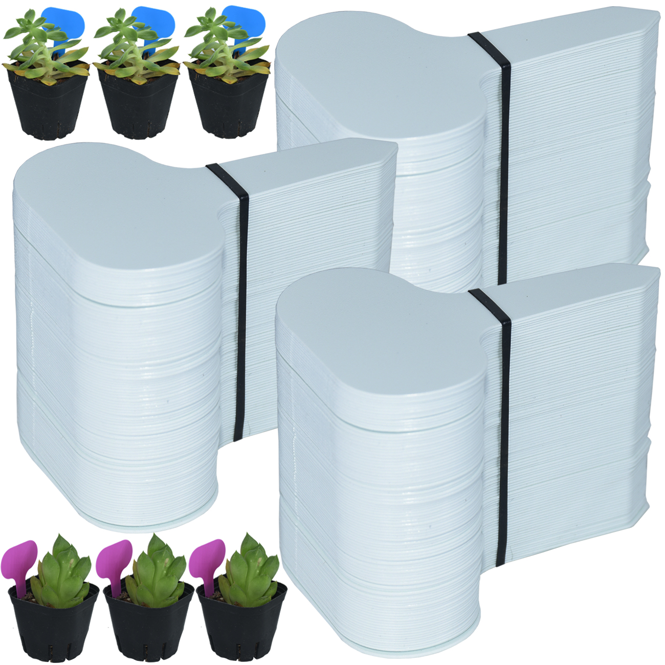 50PCS Garden Plant Labels Mark - مراجعة Garden Label Marker وسعره