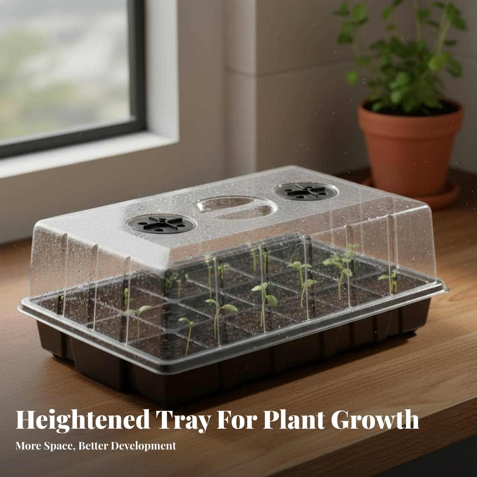 24 Compartment Nursery Tray Tr - مراجعة Propagation Tray Dome وسعره