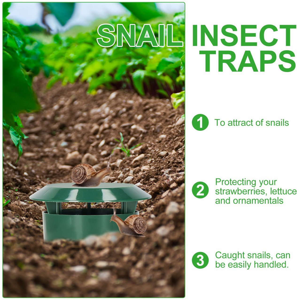 Plastic Snail Trap Cage, Reusa - مراجعة Gardening Tools Organiser وسعره
