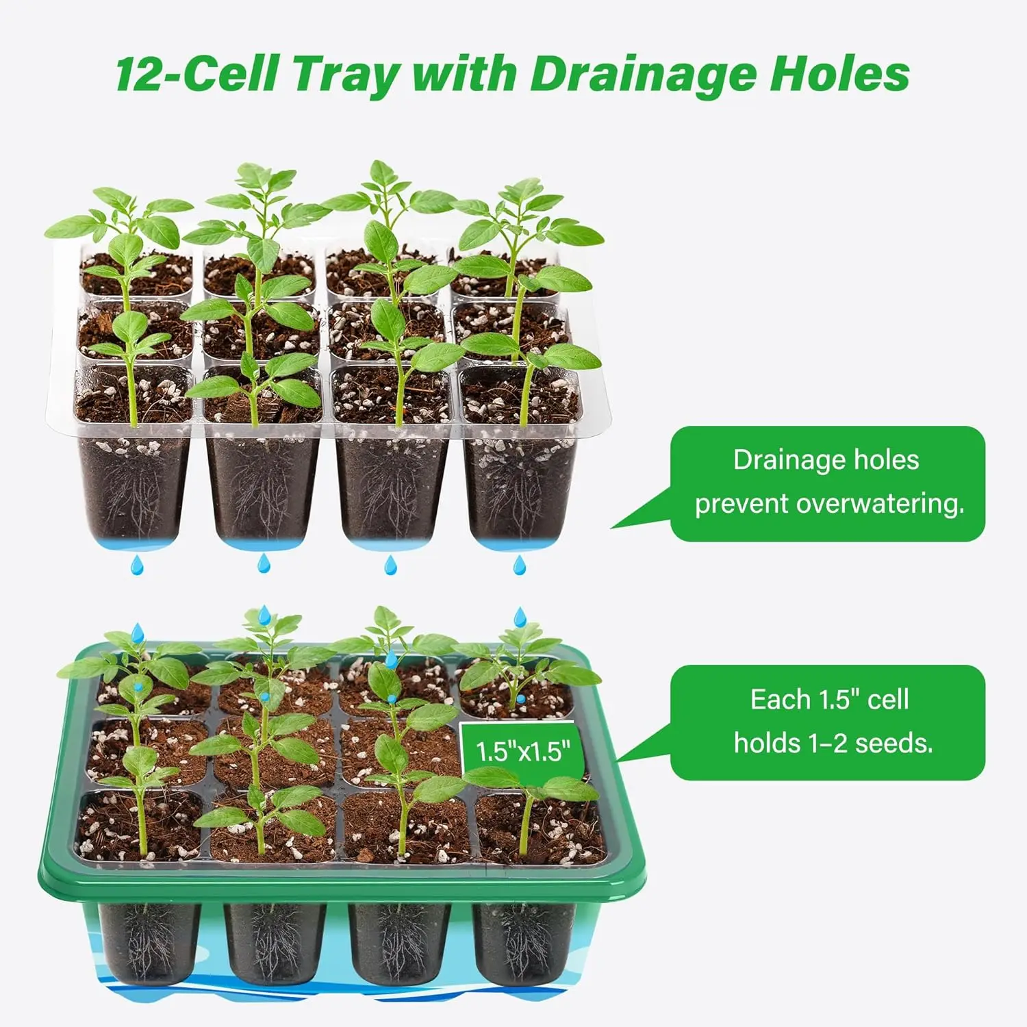 6/12 Grids Growing Starting Nu - مراجعة Propagation Tray Dome وسعره