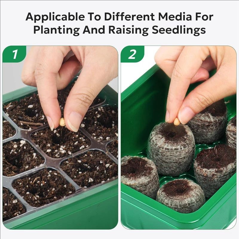 10pcs/5pcs Seedling Trays Seed - مراجعة Propagation Tray Dome وسعره
