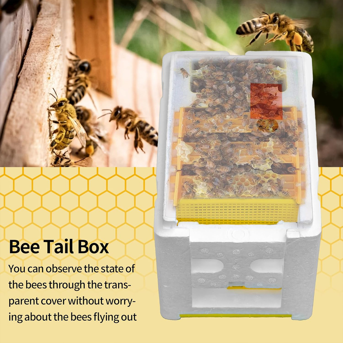 Queen Mating Box Breeding Beek - مراجعة Gardening Tools Organiser وسعره
