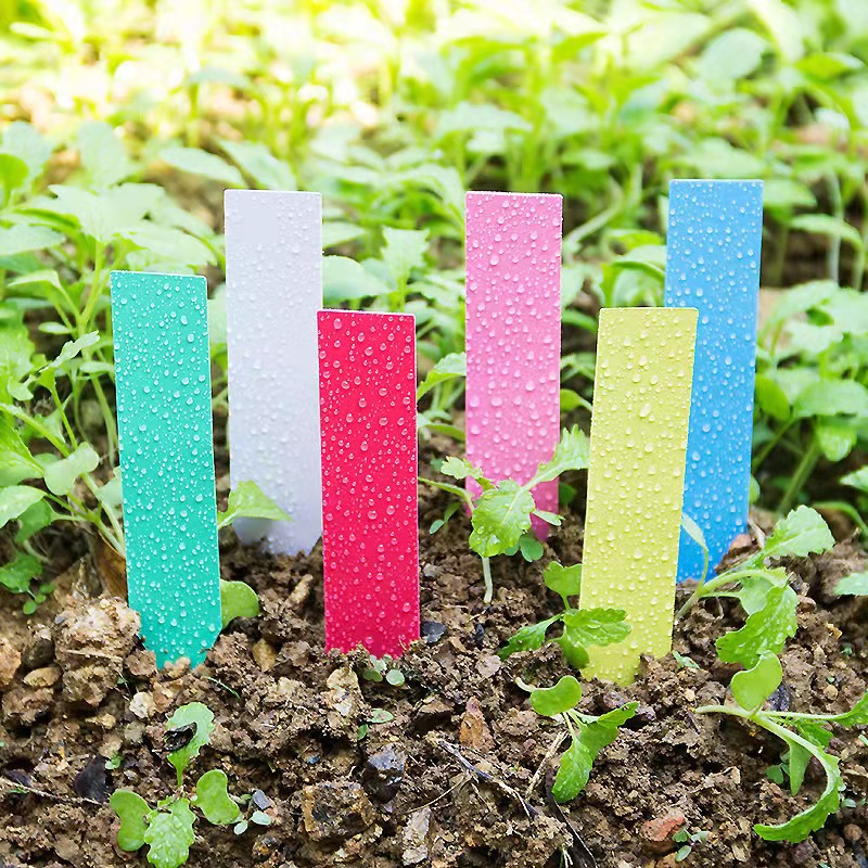 100Pcs Garden Plant Labels Pla - مراجعة Garden Label Marker وسعره