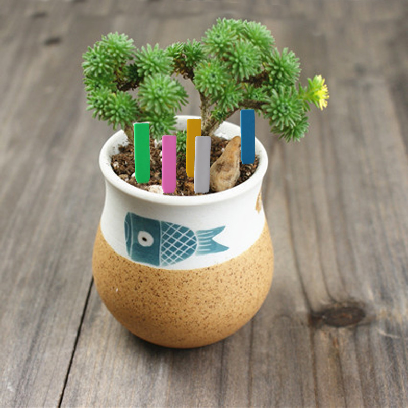 100Pcs Garden Plant Labels Pla - مراجعة Garden Label Marker وسعره