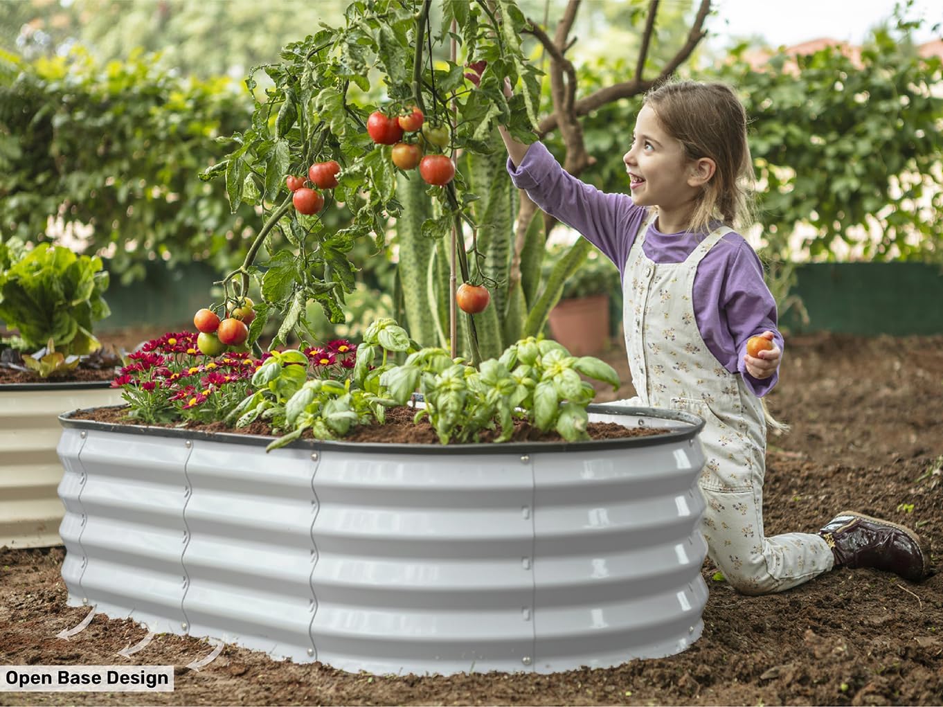Galvanized Raised Garden Beds  - مراجعة Gardening Tools Box وسعره