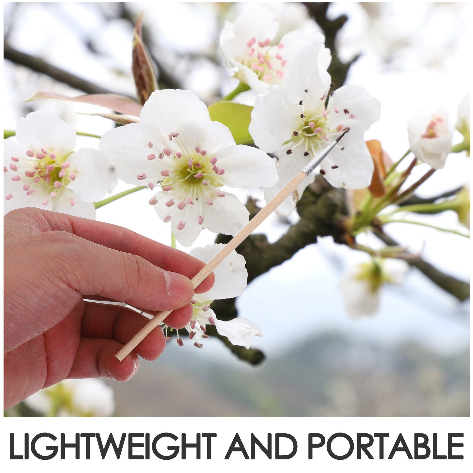 24pcs Reusable Pollination Too - مراجعة Gardening Tools Hand وسعره