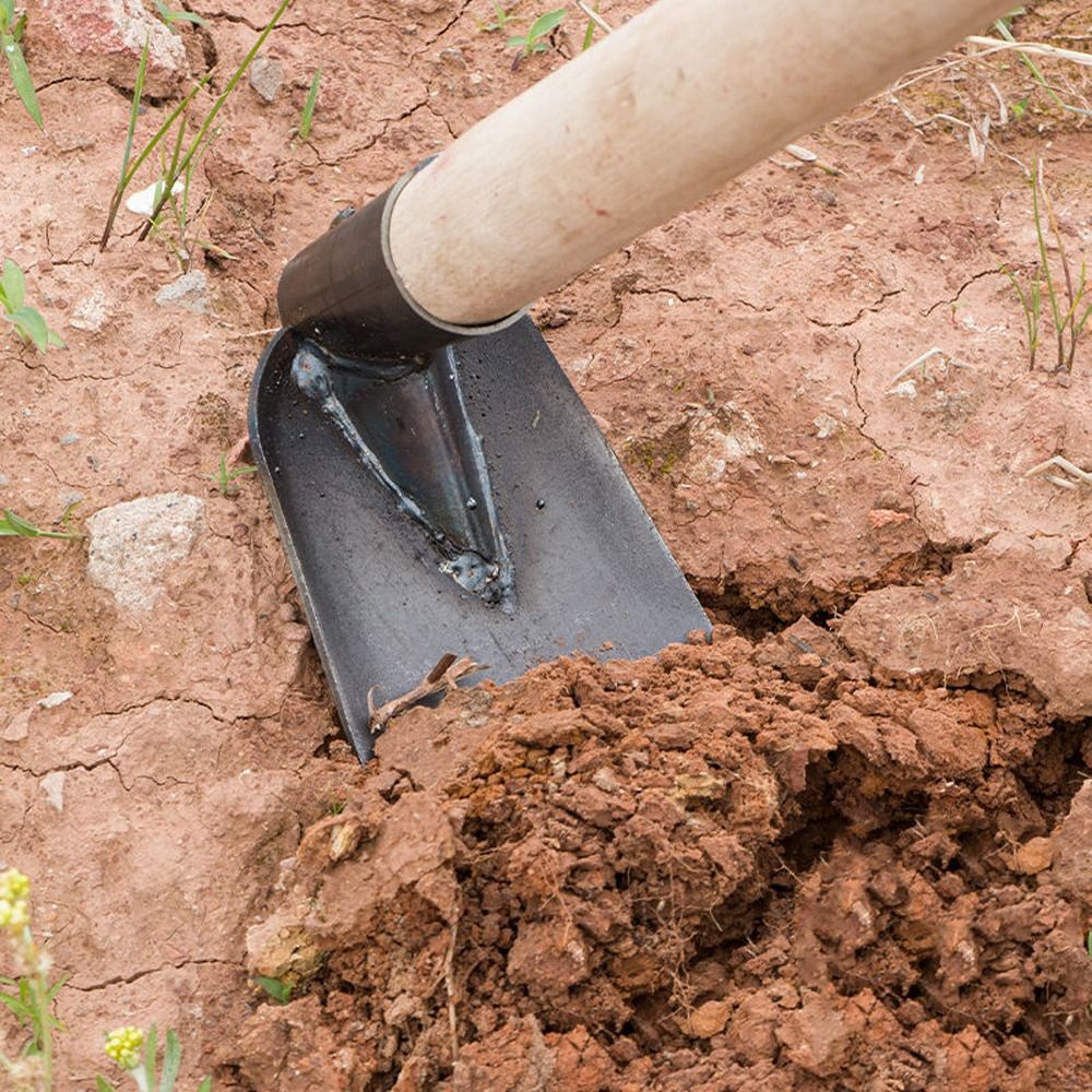 Durable Garden Hoe Household O - مراجعة Gardening Tools Sale وسعره
