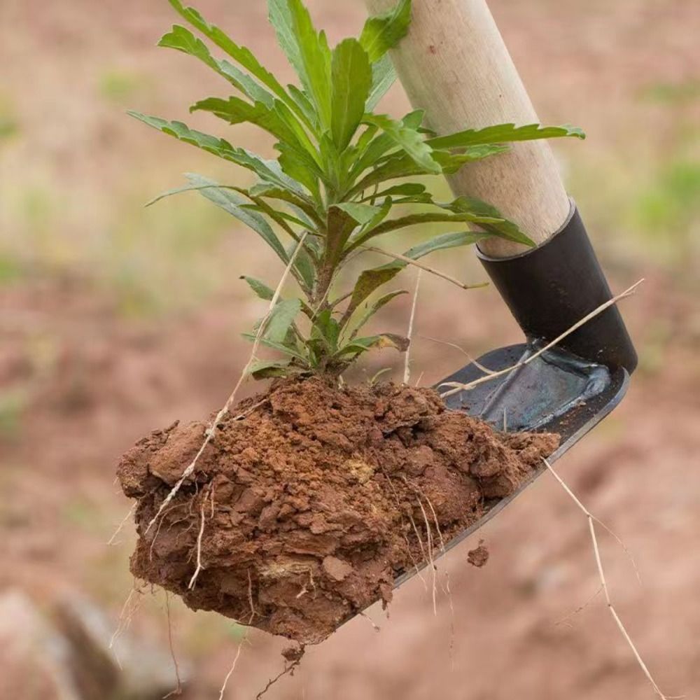 Durable Garden Hoe Household O - مراجعة Gardening Tools Sale وسعره