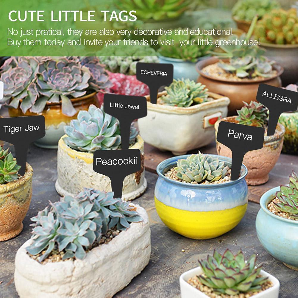 10/25pcs Garden Plant Labels P - مراجعة Garden Label Marker وسعره