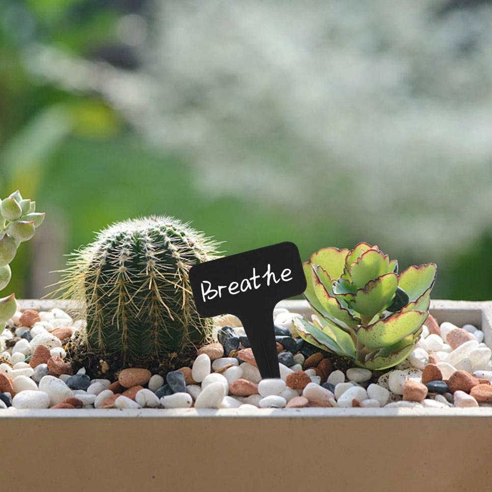 10/25pcs Garden Plant Labels P - مراجعة Garden Label Marker وسعره