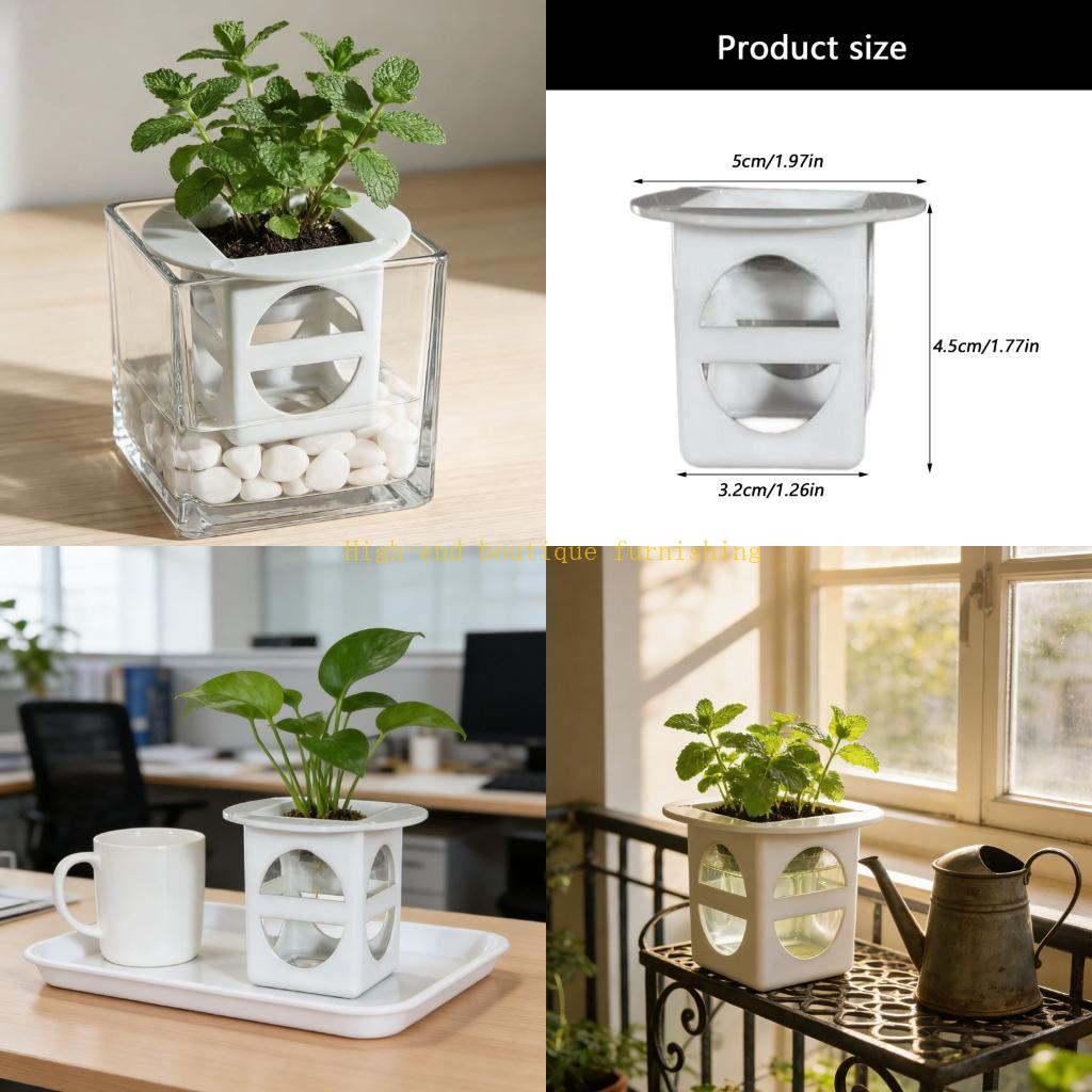 L9NB 12lots Professional Seedl - مراجعة Propagation Tray Dome وسعره
