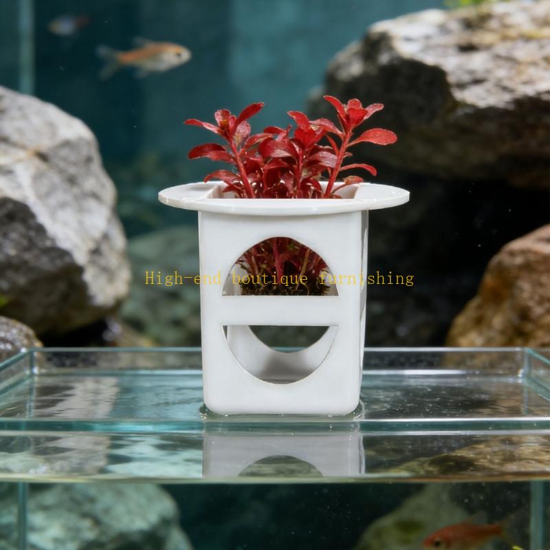 L9NB 12lots Professional Seedl - مراجعة Propagation Tray Dome وسعره