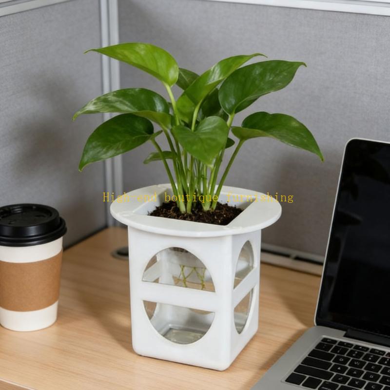 L9NB 12lots Professional Seedl - مراجعة Propagation Tray Dome وسعره