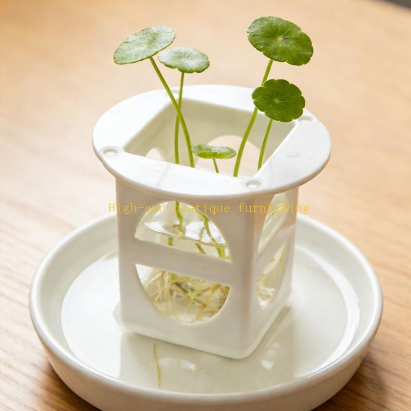 L9NB 12lots Professional Seedl - مراجعة Propagation Tray Dome وسعره