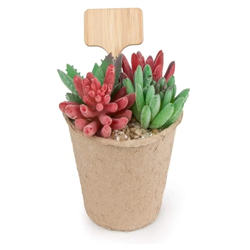 Garden Tags T-Type Bamboo Plan - مراجعة Garden Label Marker وسعره