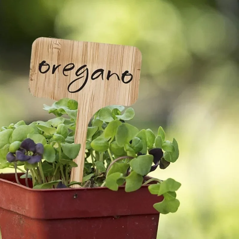 Garden Tags T-Type Bamboo Plan - مراجعة Garden Label Marker وسعره