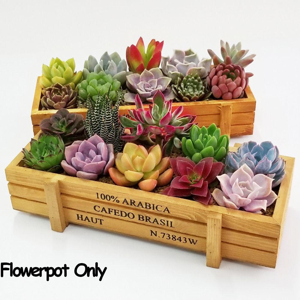 1 PC Tools Garden Decor Trough - مراجعة Gardening Tools Organiser وسعره