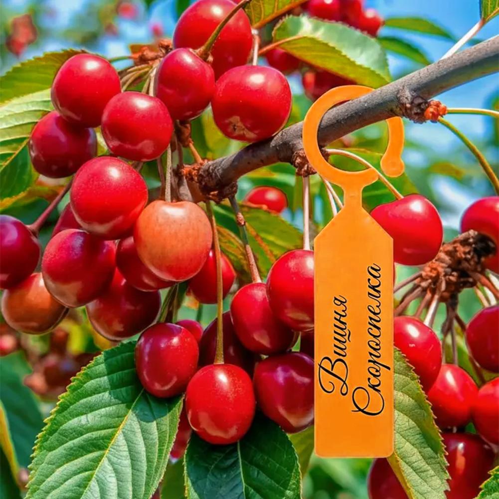 Garden Planting Tag Ring Hook  - مراجعة Garden Label Marker وسعره