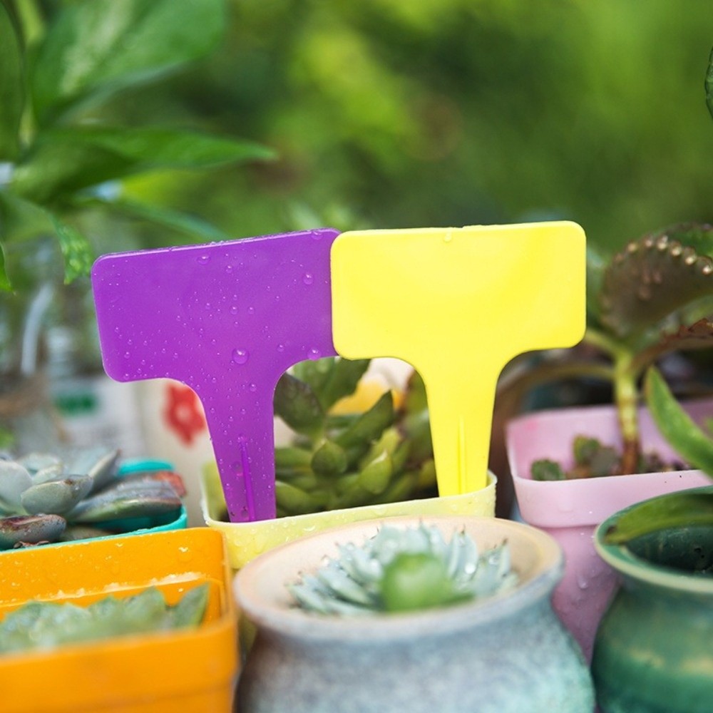 100PCS Waterproof Nursery Gard - مراجعة Garden Label Marker وسعره