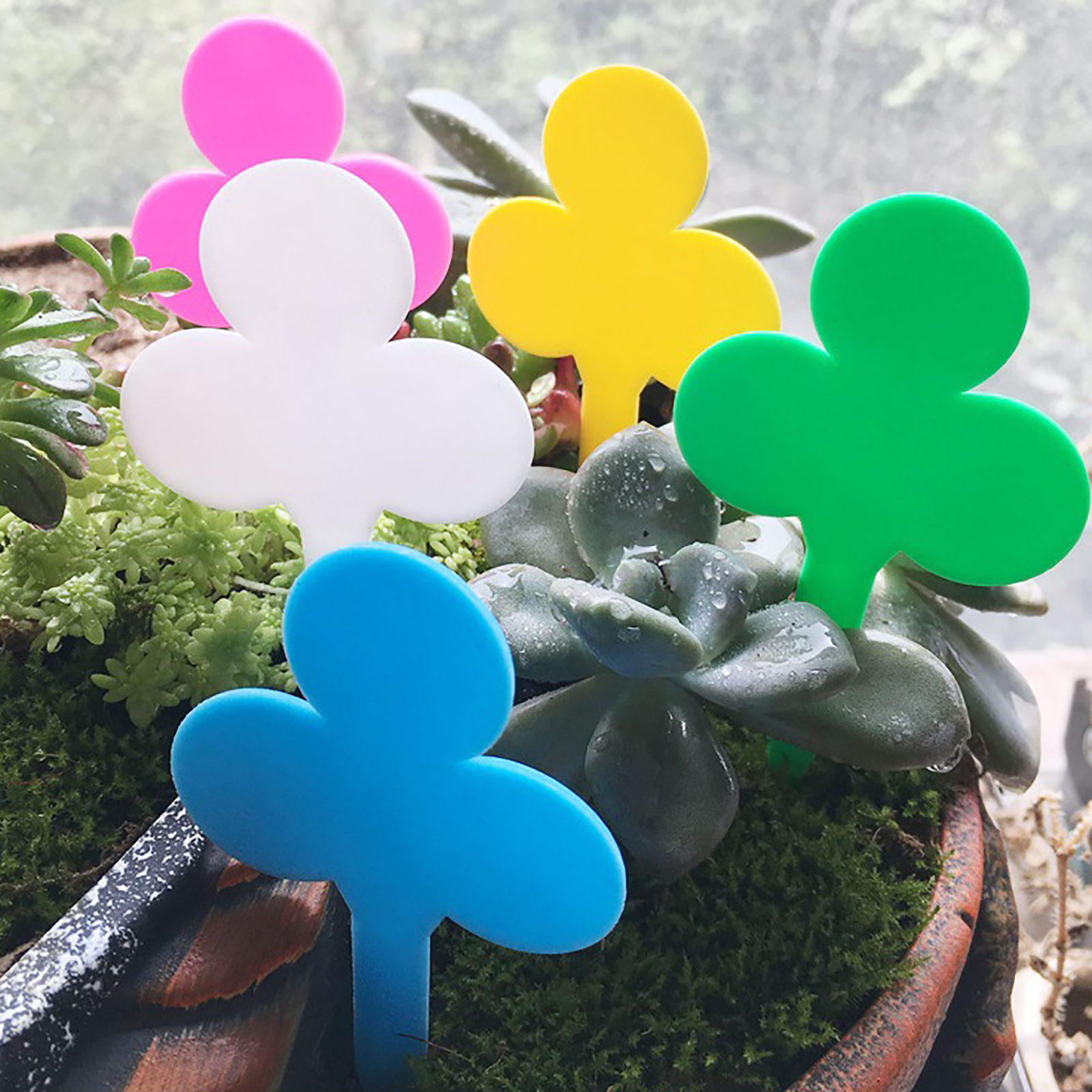 50/100Pcs Plant Labels Garden  - مراجعة Garden Label Marker وسعره