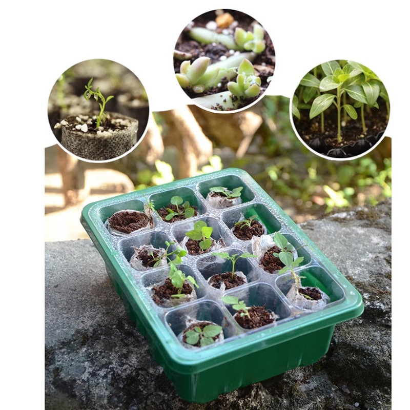 6/12 Holes Seed Starter Tray W - مراجعة Propagation Tray Dome وسعره