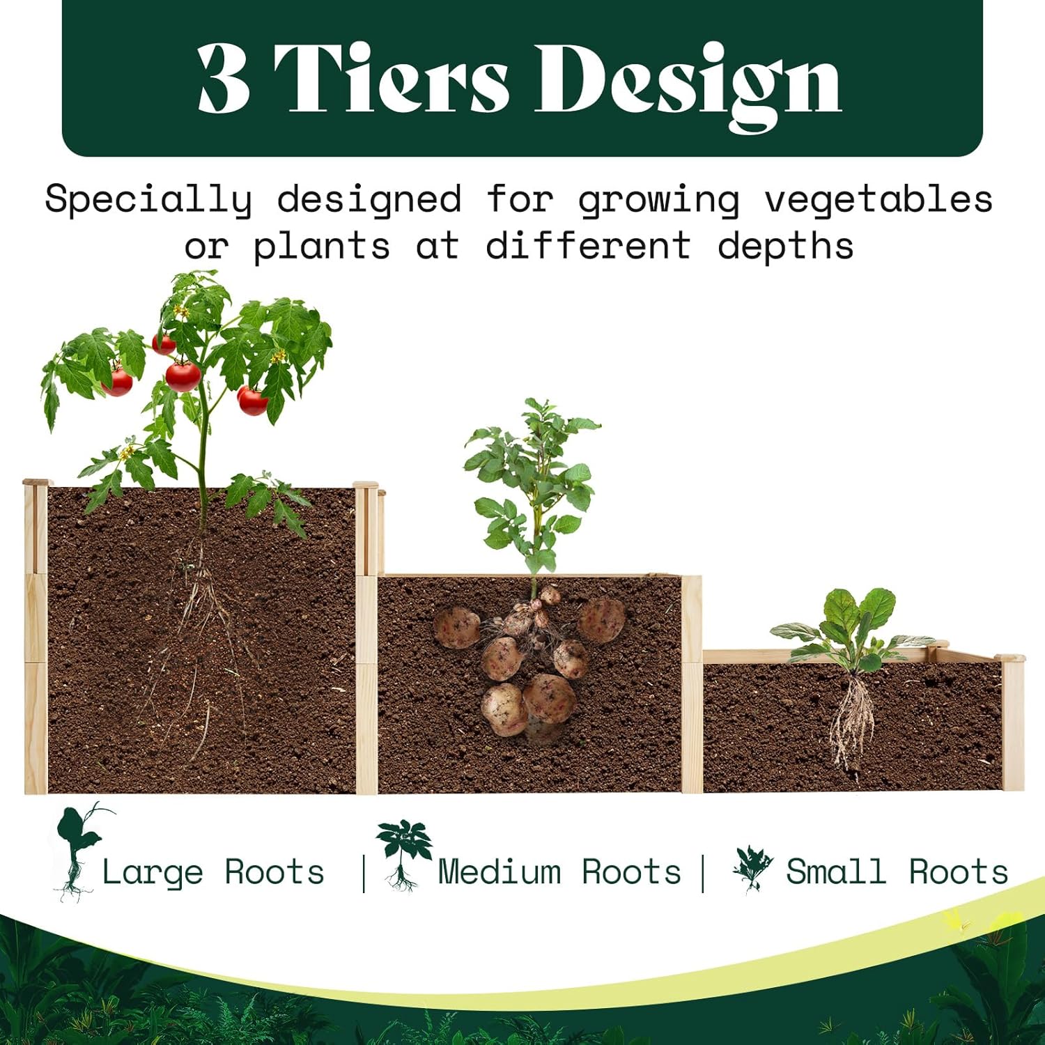 3 Tier Raised Garden Bed for O - مراجعة Gardening Tools Box وسعره