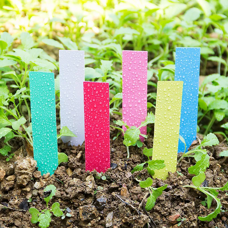 100pcs Thick 4inch Plant Label - مراجعة Garden Label Marker وسعره