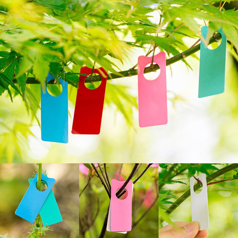 100Pcs Multifunction Plastic T - مراجعة Garden Label Marker وسعره