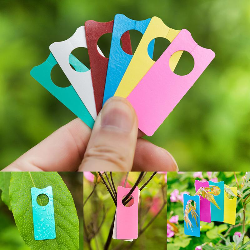 100Pcs Multifunction Plastic T - مراجعة Garden Label Marker وسعره