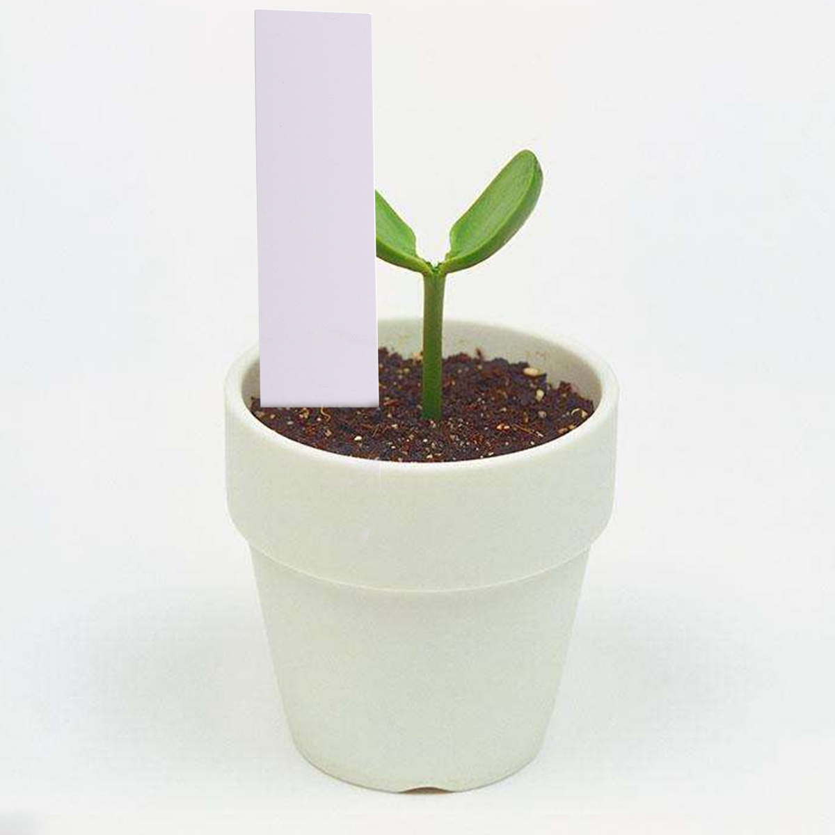 100pcs Garden Plant Labels Whi - مراجعة Garden Label Marker وسعره