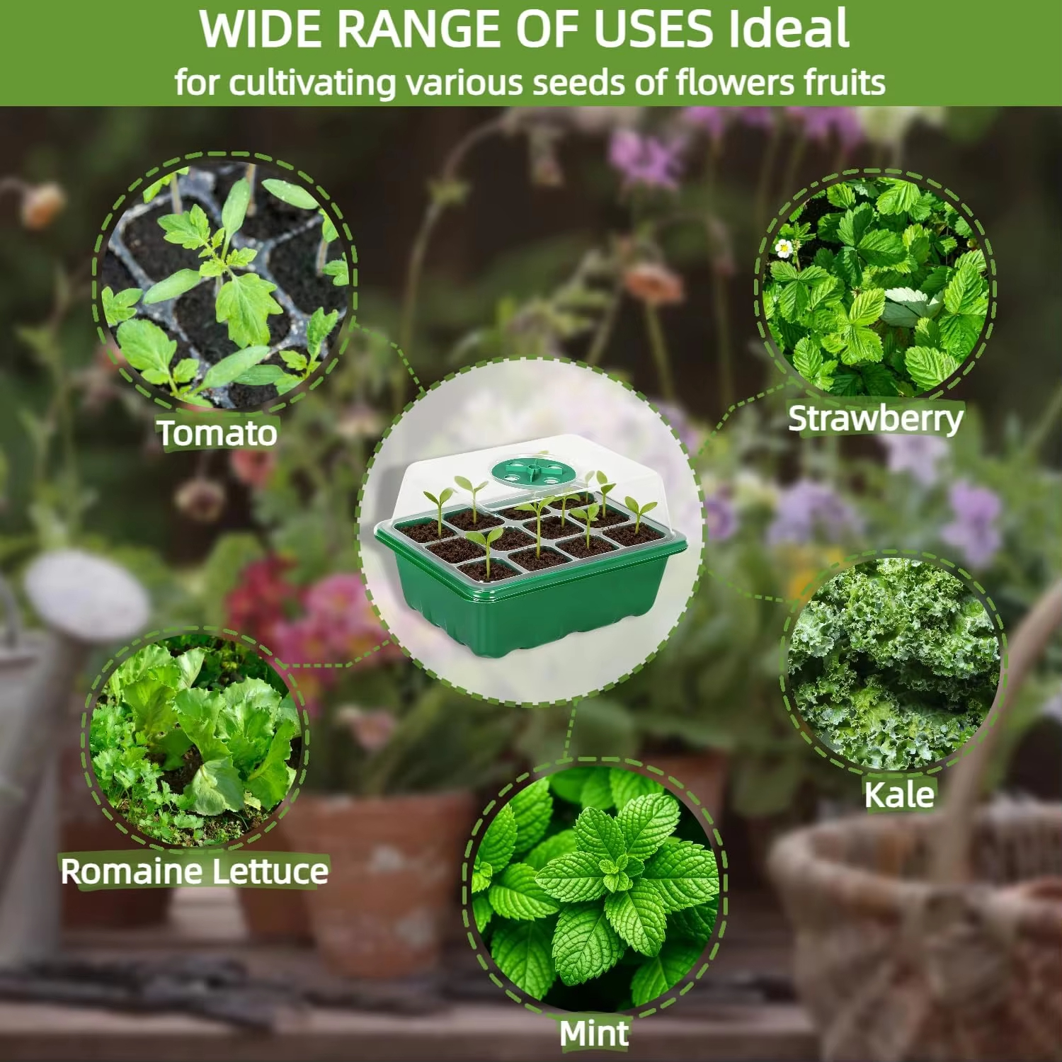 3Pcs Seed Starter Tray Mini Gr - مراجعة Propagation Tray Dome وسعره