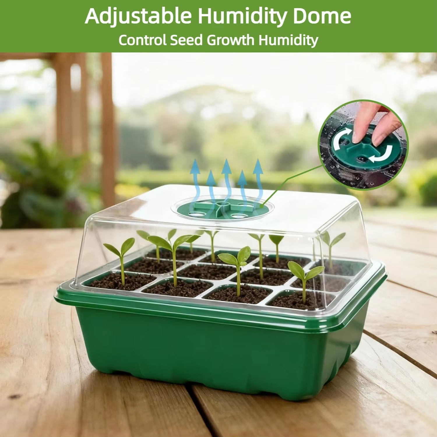 3Pcs Seed Starter Tray Mini Gr - مراجعة Propagation Tray Dome وسعره