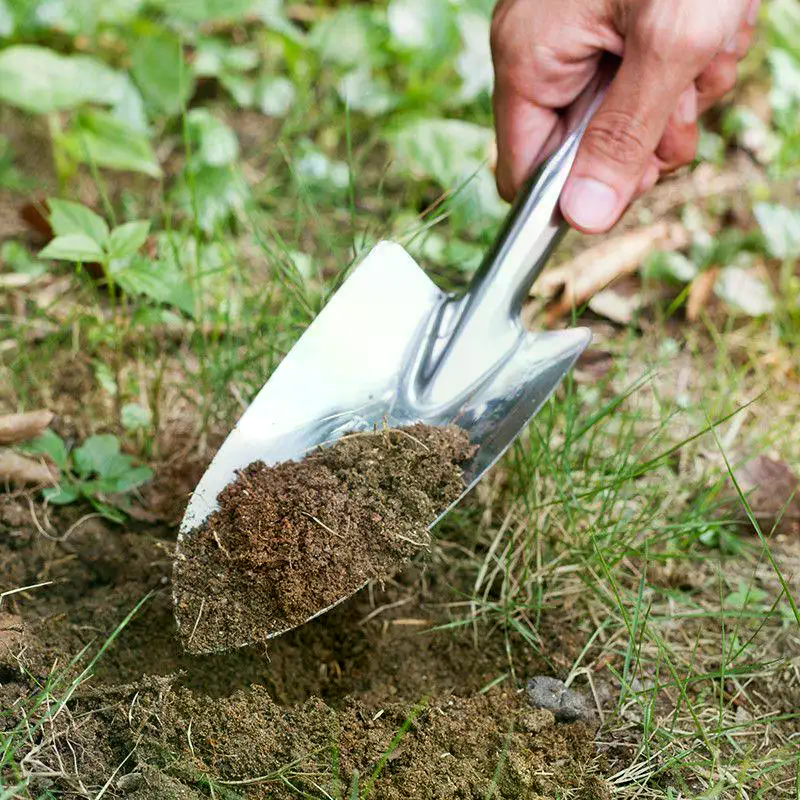 Stainless Steel Small Shovel P - مراجعة Gardening Tools Sale وسعره