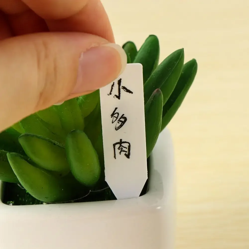 100Pcs Reusable Classification - مراجعة Garden Label Marker وسعره