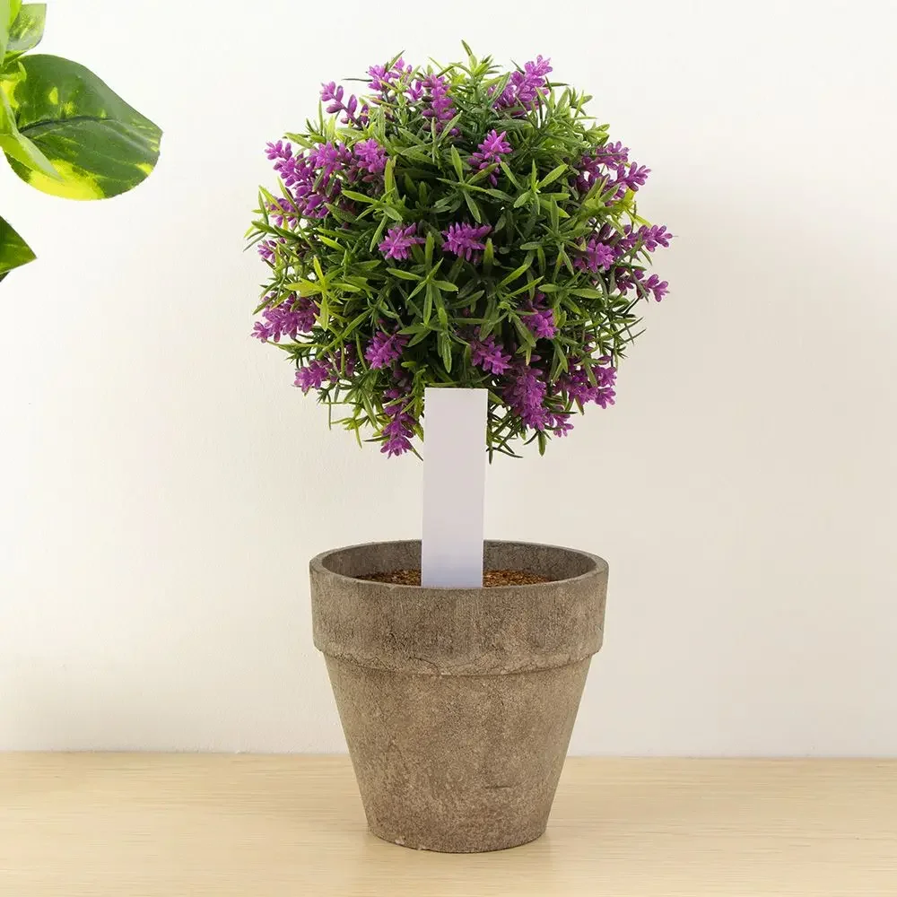 100Pcs Reusable Classification - مراجعة Garden Label Marker وسعره