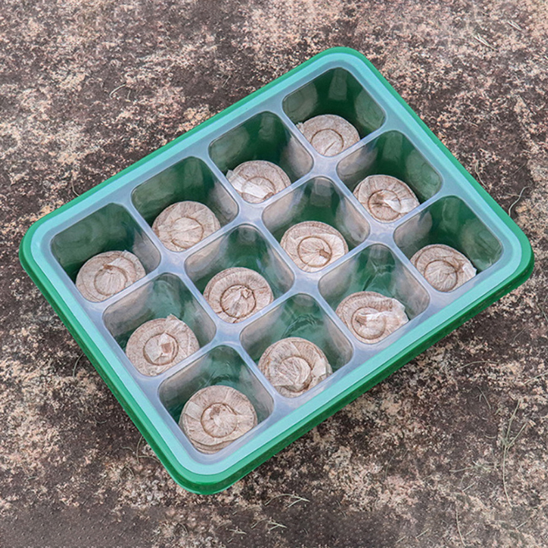 Hot Sale 6/12 Holes Seed Start - مراجعة Propagation Tray Dome وسعره