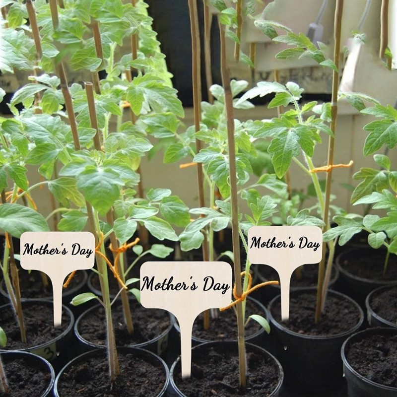 T-Type Bamboo Plant Labels Eco - مراجعة Garden Label Marker وسعره