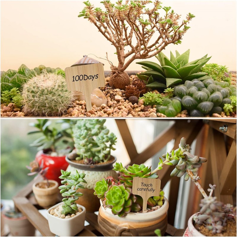 T-Type Bamboo Plant Labels Eco - مراجعة Garden Label Marker وسعره