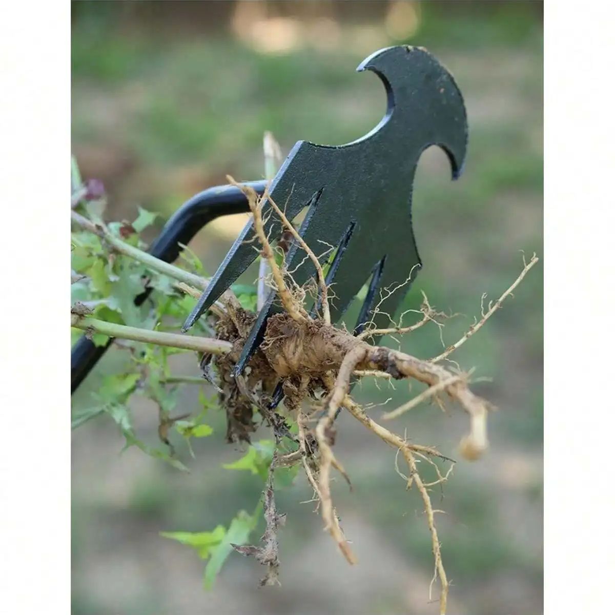 4 Teeths - Multifunctional Han - مراجعة Gardening Tools Hand وسعره