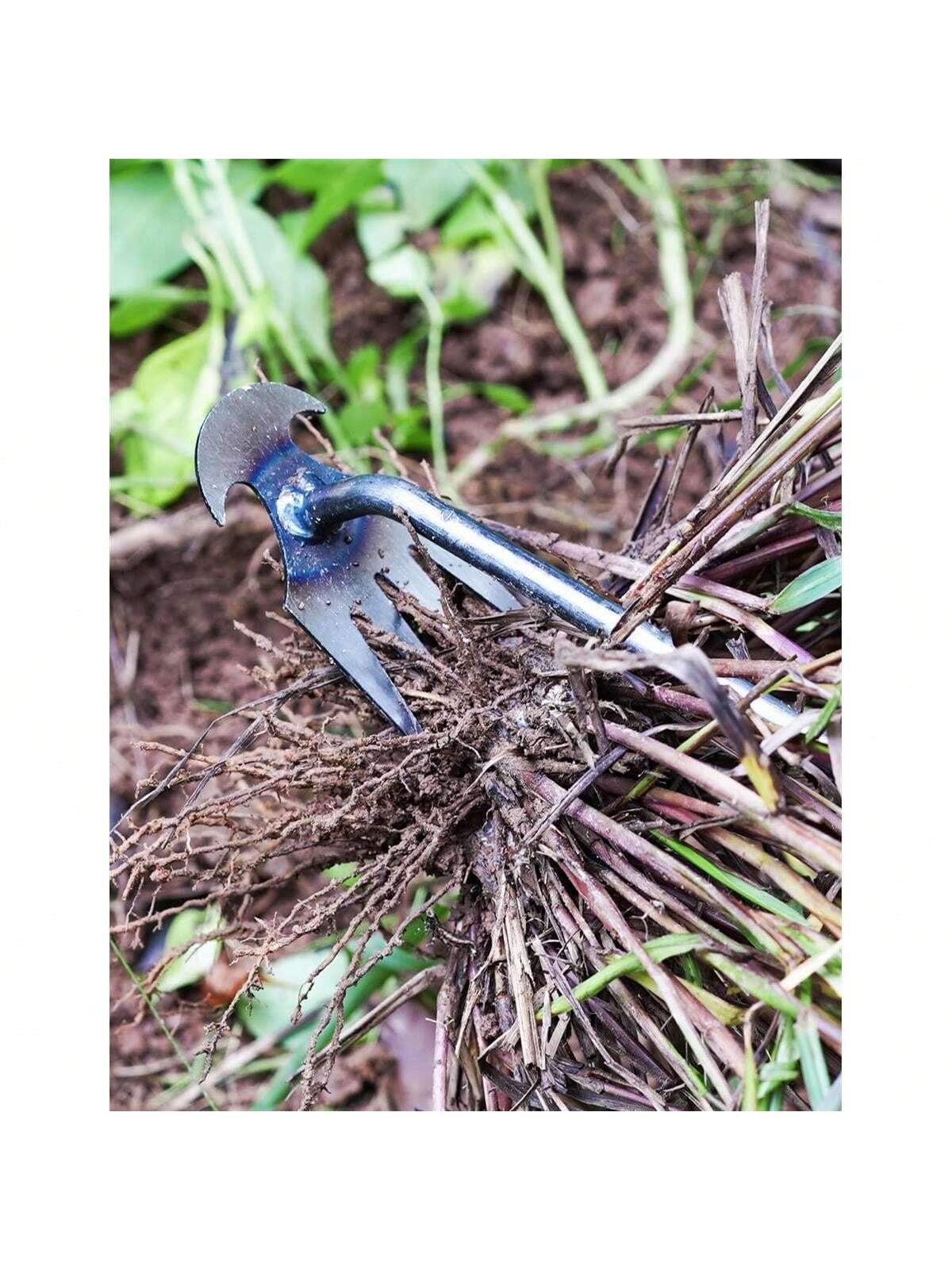4 Teeths - Multifunctional Han - مراجعة Gardening Tools Hand وسعره