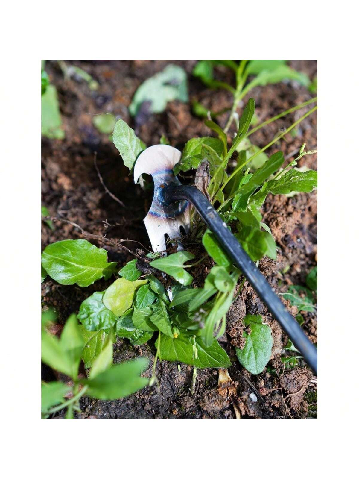 4 Teeths - Multifunctional Han - مراجعة Gardening Tools Hand وسعره
